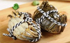 鮮活水產品空運6大注意事項