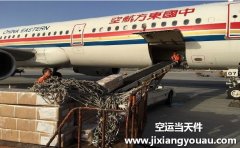 上海到威海空運_海鮮物流