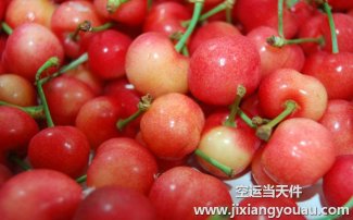 水果能空運么?航空托運水果收費和包裝須知