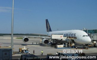 寵物空運:全國機場和航空公司對于航空托運寵物的規定